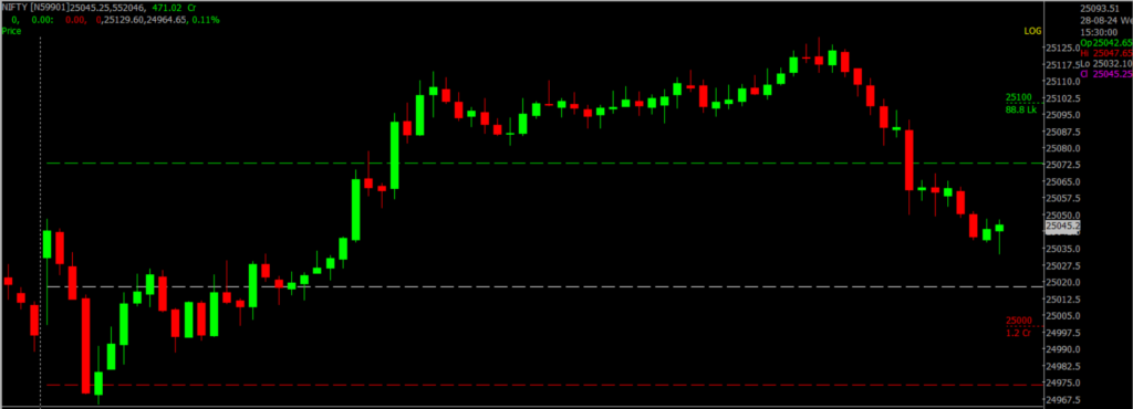 The image displays Intraday version of the Nifty Stock Market chart, used for predicting on August 29, 2024