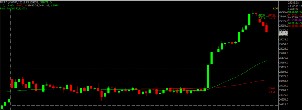 The image displays Intraday version of the Nifty Stock Market chart, used for predicting on September 13, 2024